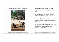 Mini-Buch-für-Lapbook-Afrikanischer-Elefant-Lesetext.pdf